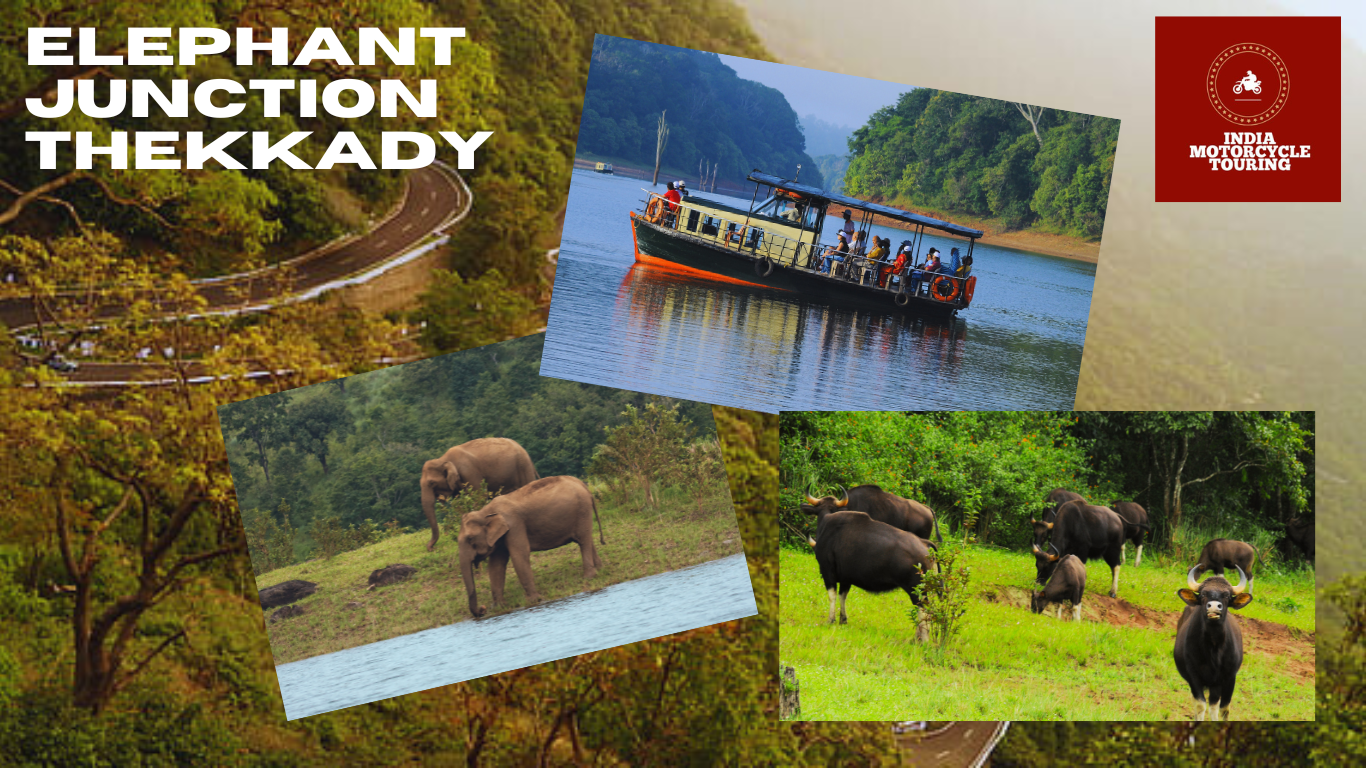 Wildlife Safari in Elephant Junction Thekkady