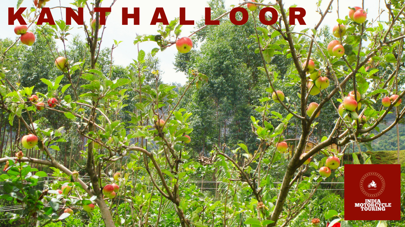 Kanthalloor’s Fruit Orchard