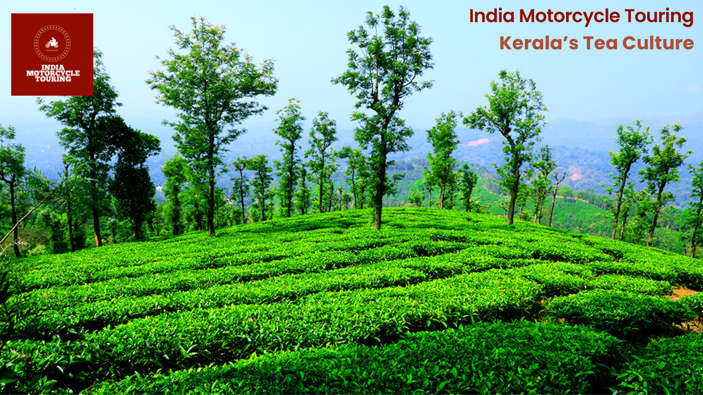 A motorcycle Tour in Kerala’s Tea Plantations